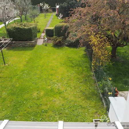 Проживание в семье Frederika